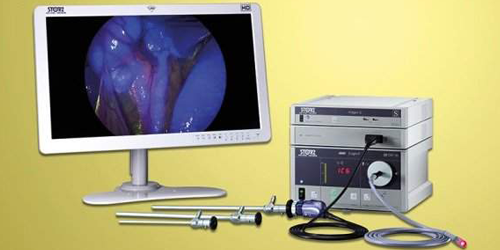 GynaeEndoscopy-1