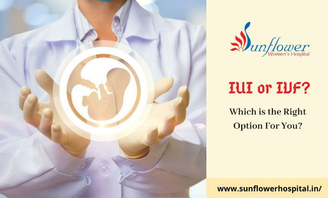 IUI or IVF? Which is the Right Option For You?