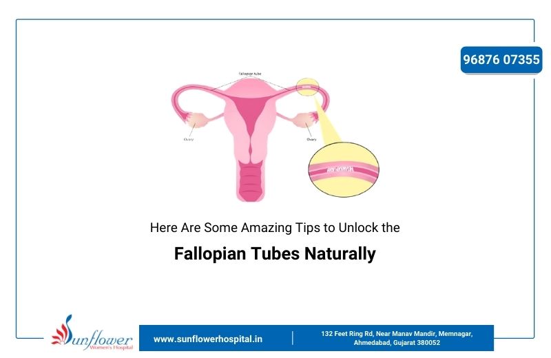 Here Are Some Amazing Tips to Unlock the Fallopian Tubes Naturally