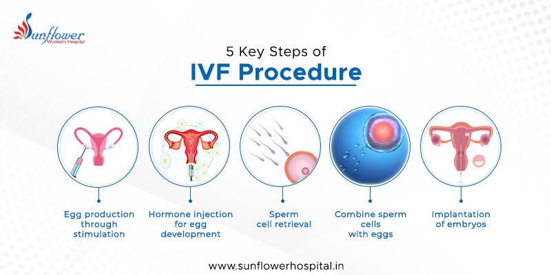 5 Key Steps of IVF Procedure