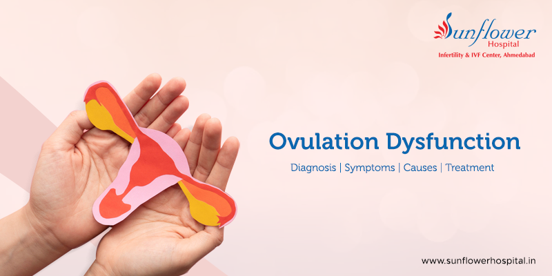 Ovulation Dysfunction: Diagnosis, Symptoms, Causes, and Treatment 