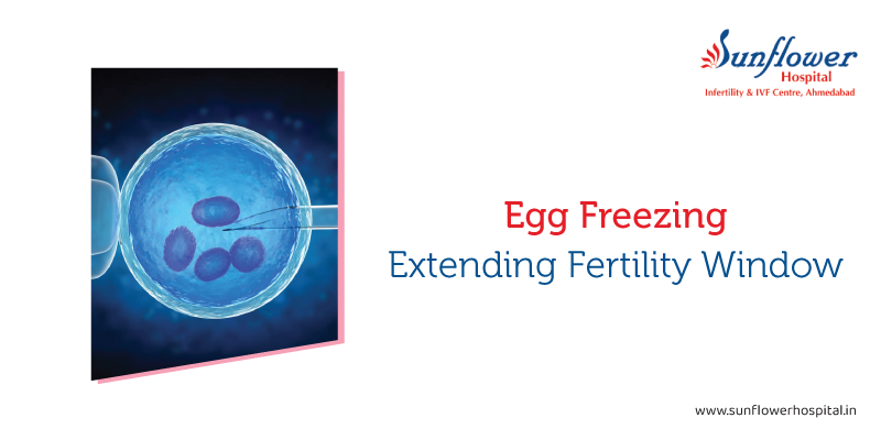 Planning for the Future: How Egg Freezing Can Extend Your Fertility Window