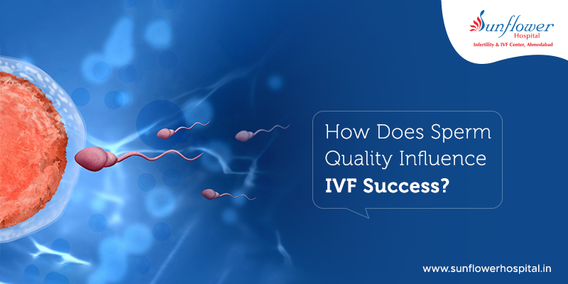 How Does Sperm Quality Influence IVF Success?