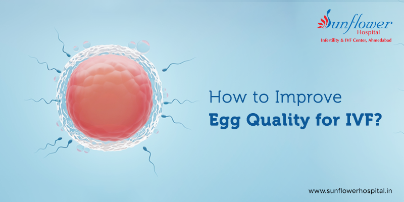 Egg Quality for IVF: How to Improve It Naturally? 