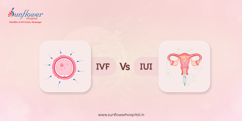 Understanding the Difference Between IUI and IVF