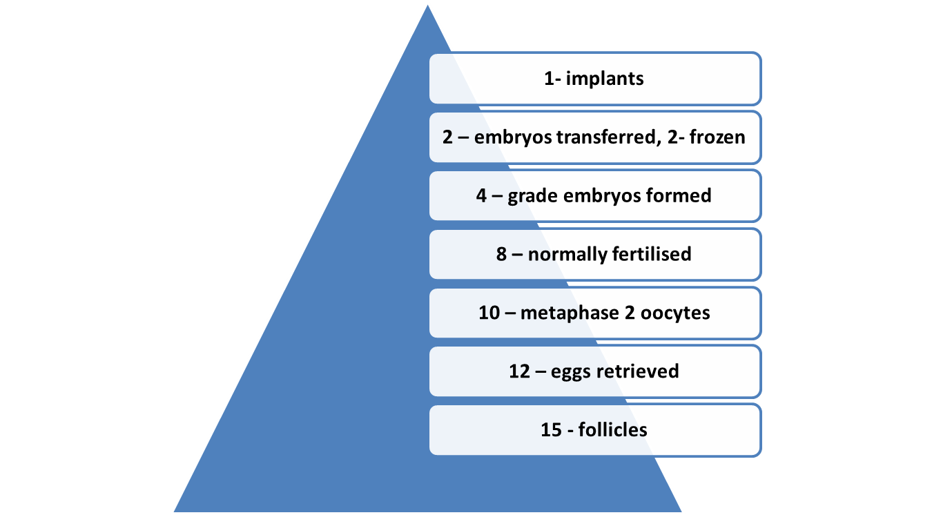 Ovulation Induction 5