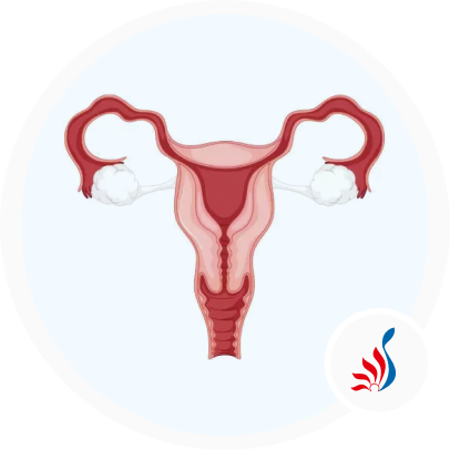 Egg Donation