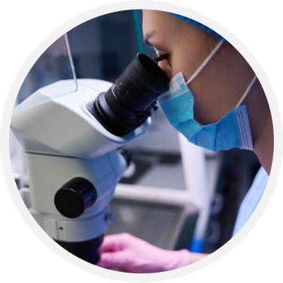 Embryo Donation IVF