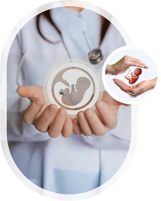 Embryo Donation