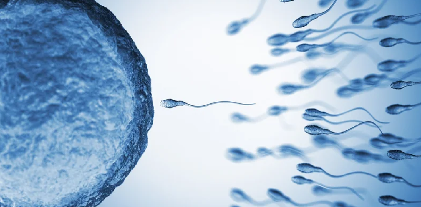 Infertility Treatment