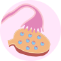 Ovarian reserve testing