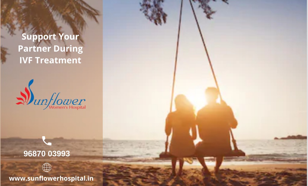 Support Your Partner During IVF Treatment