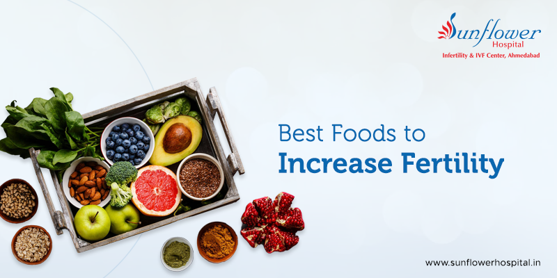 5 Best Foods to Increase Fertility