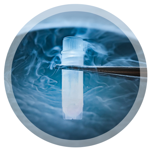 How Oocyte Freezing Work