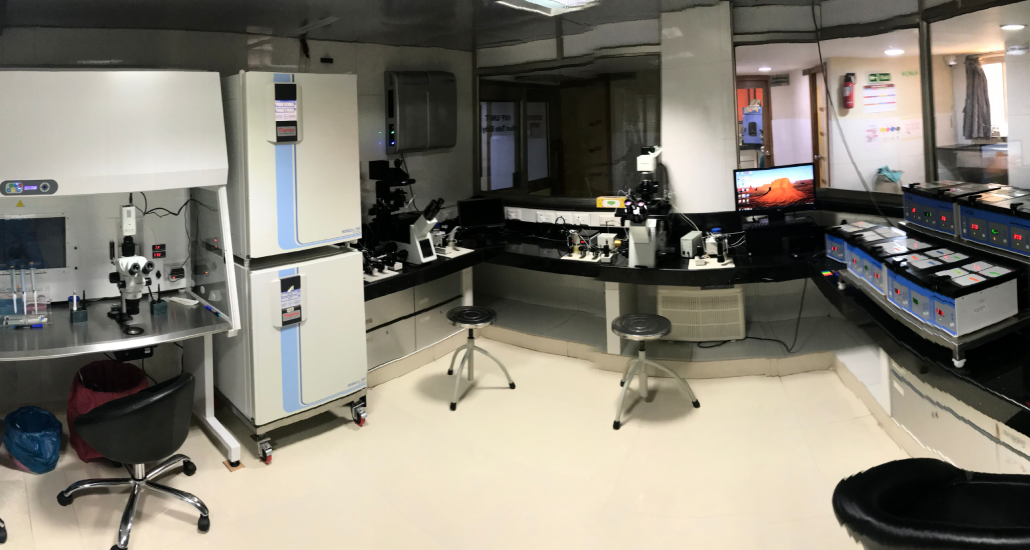 IVF services