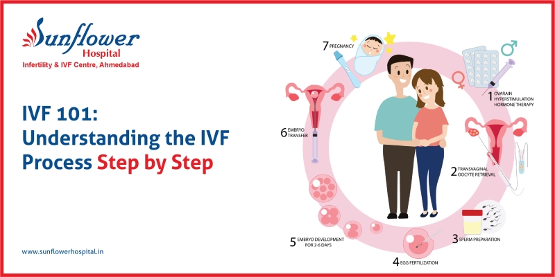 IVF 101: Understanding the IVF Process Step by Step