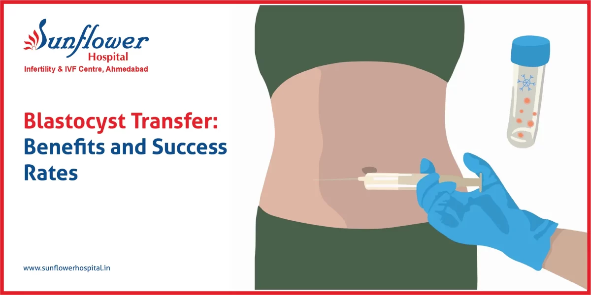 Blastocyst Transfer in IVF: Benefits and Success Rates