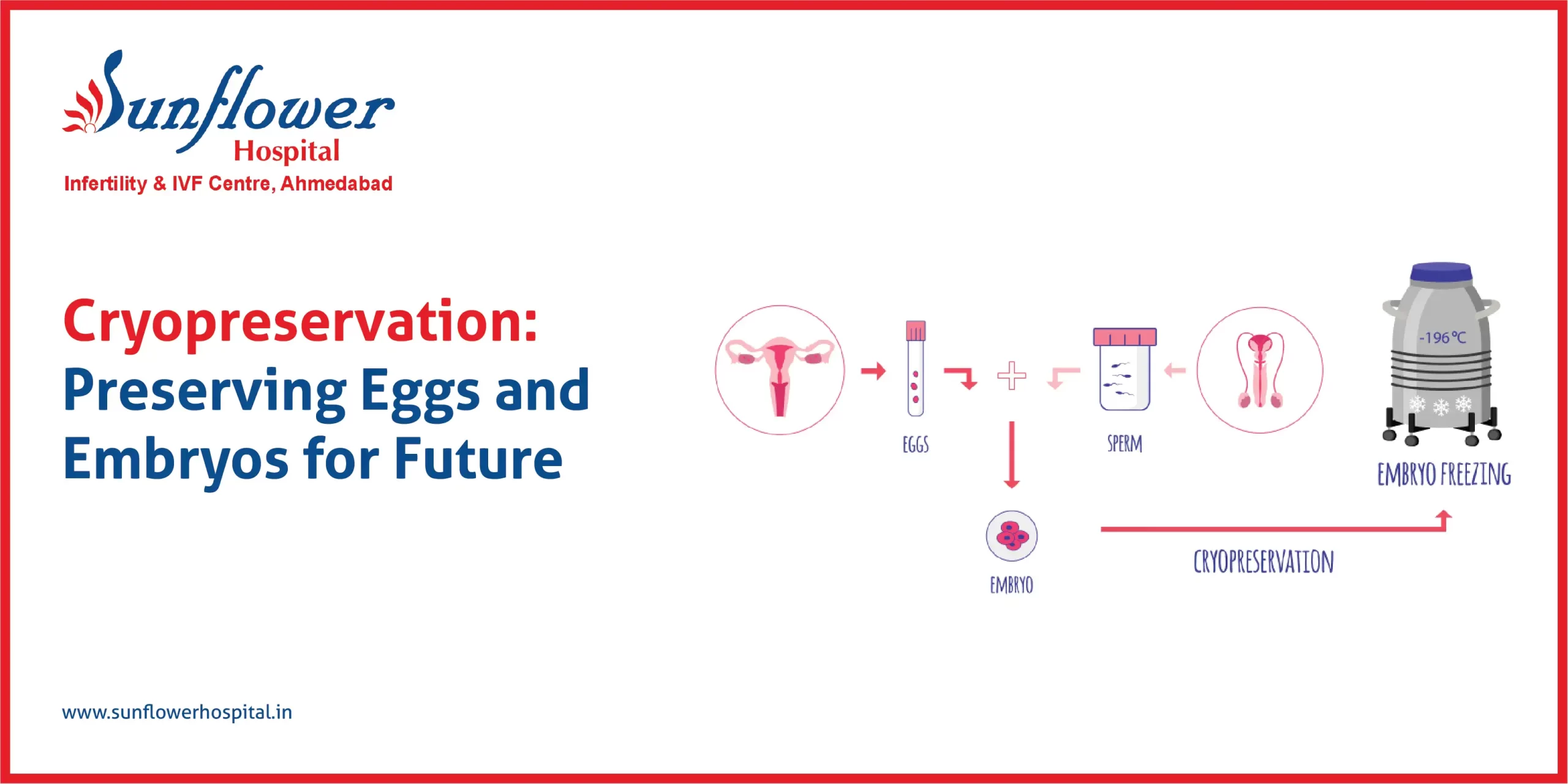 Cryopreservation: Preserving Eggs and Embryos for the Future