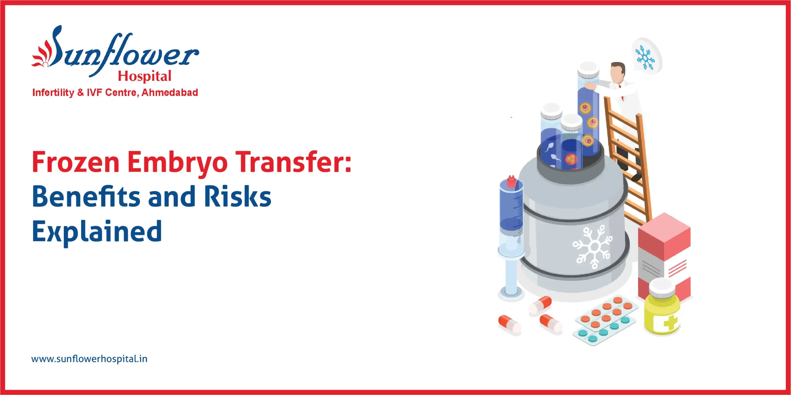 Frozen Embryo Transfer: Benefits and Risks Explained