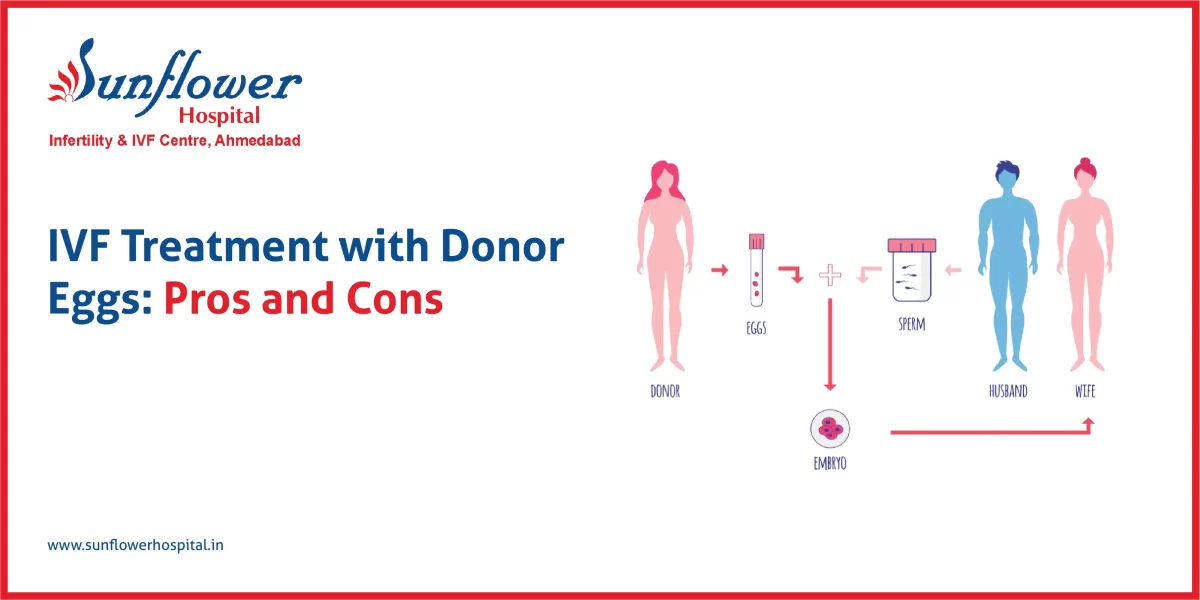 IVF Treatment with Donor Eggs