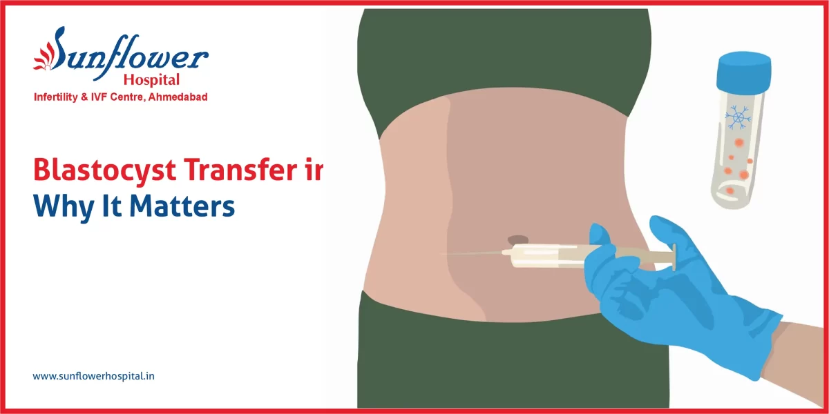 Blastocyst Transfer in IVF
