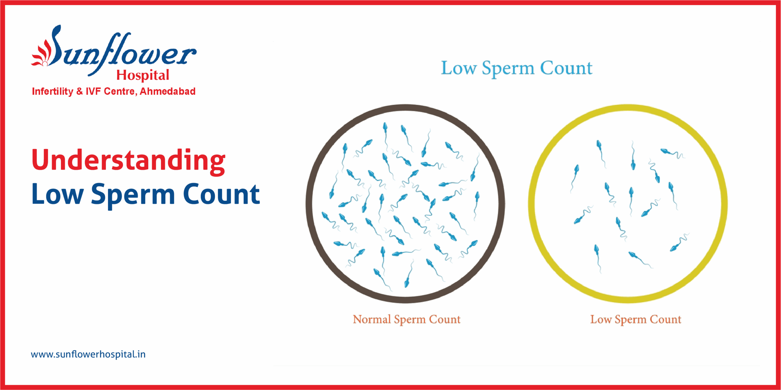 Understanding Low Sperm Count
